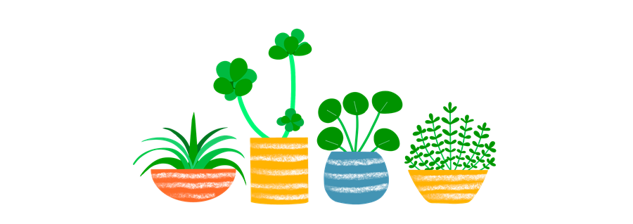 観葉植物