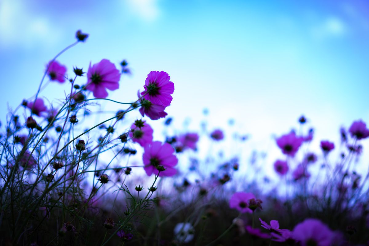 容姿よりも大事なこと