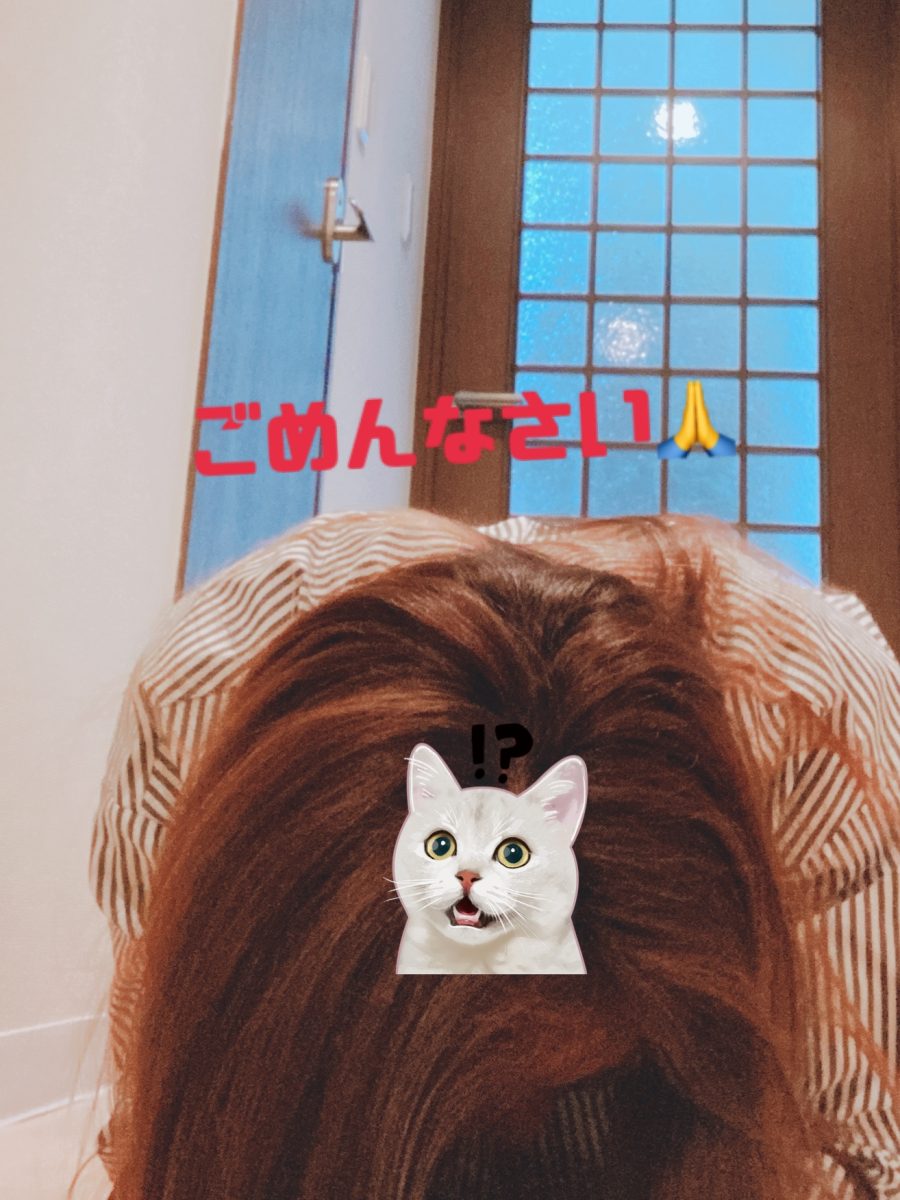 全員、採用じゃない理由