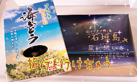 チャットで稼いで旅三昧☆