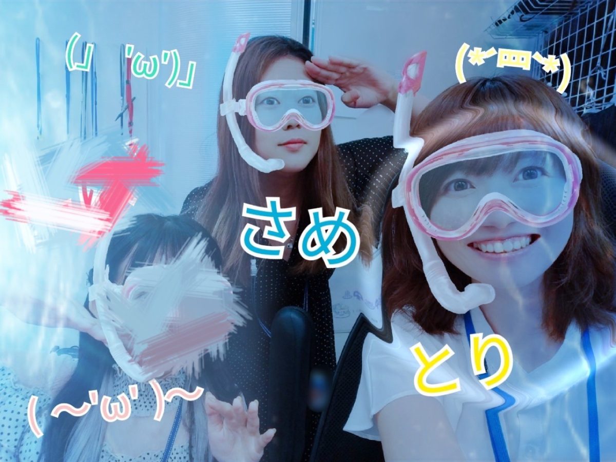 チャットレディは出演するだけがお仕事じゃないんです💦メールの頑張りが常連作りへの第一歩です🐤