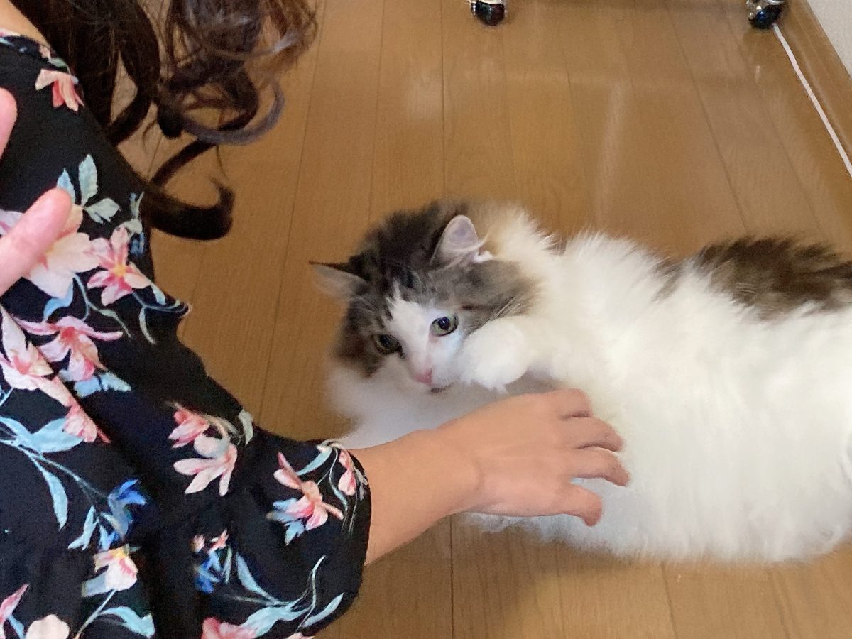 出ました!名言