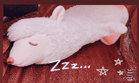 あけましておめでとうございます☆彡