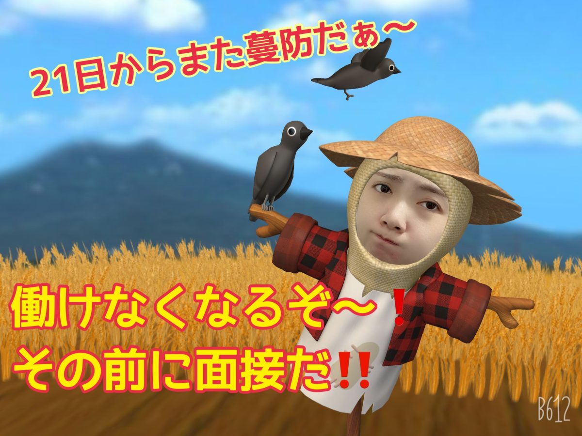皆と同じでは遅いんです【はじめ時を間違えない】