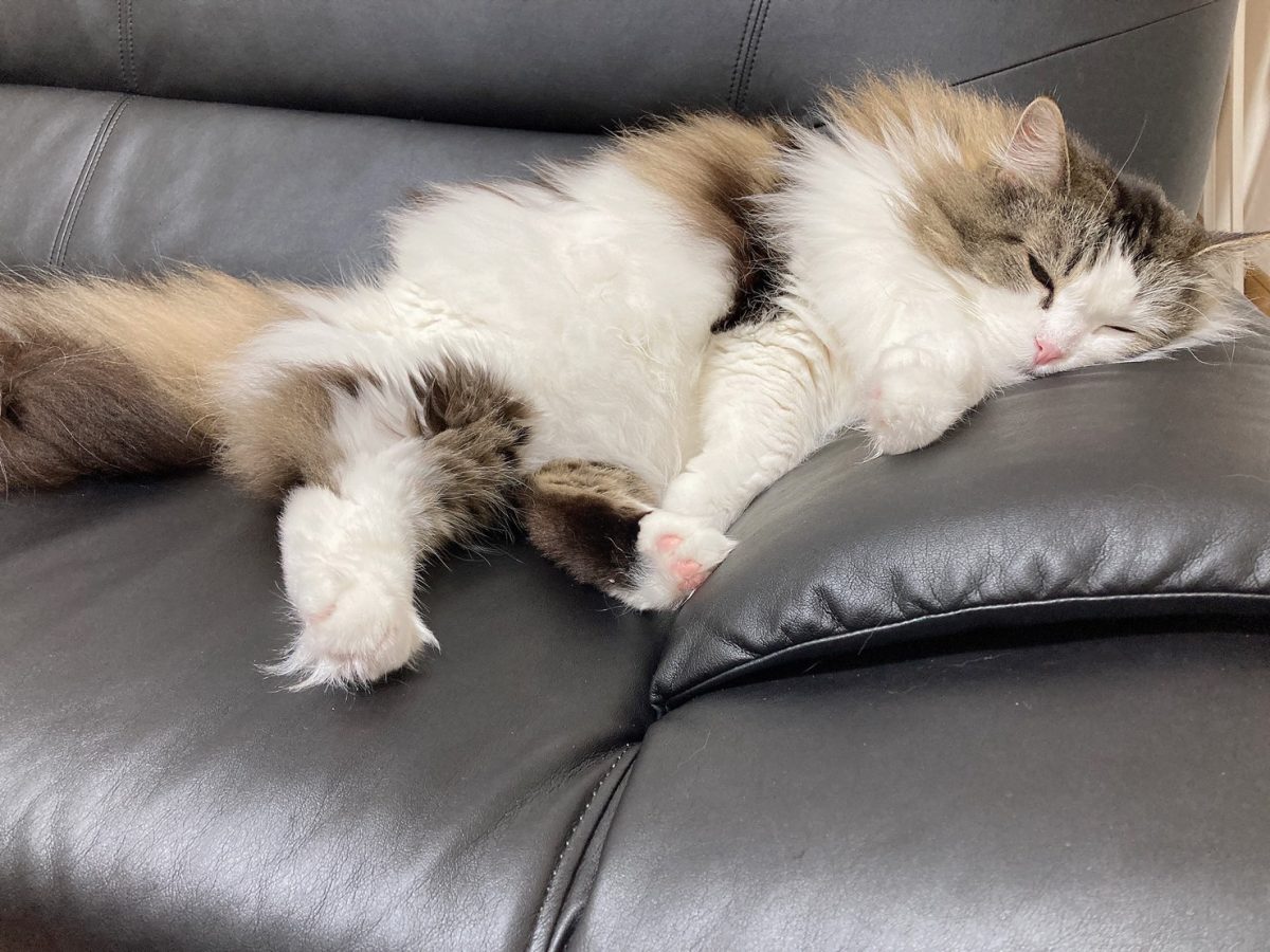 【アスタリスク横川駅前店】リニューアル３！！！！