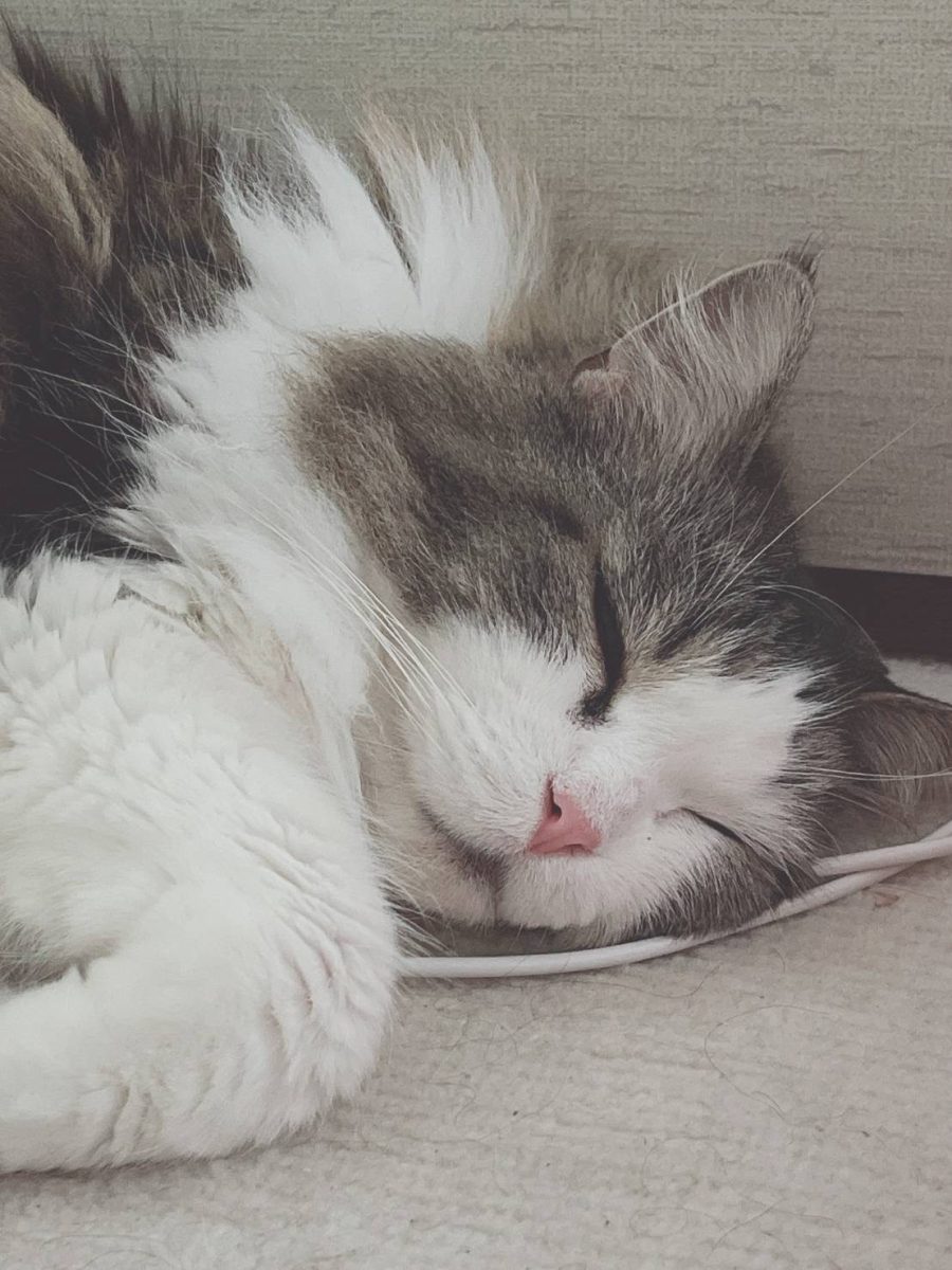 【チャットレディ　横川駅前店】お肌ケア