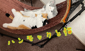 【高収入】始めようチャットレディ☆彡