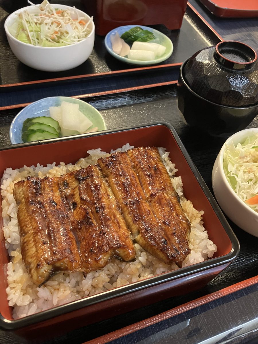 秋晴れですね( ^ω^ )