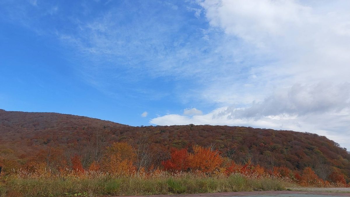 紅葉見て癒されました☆彡