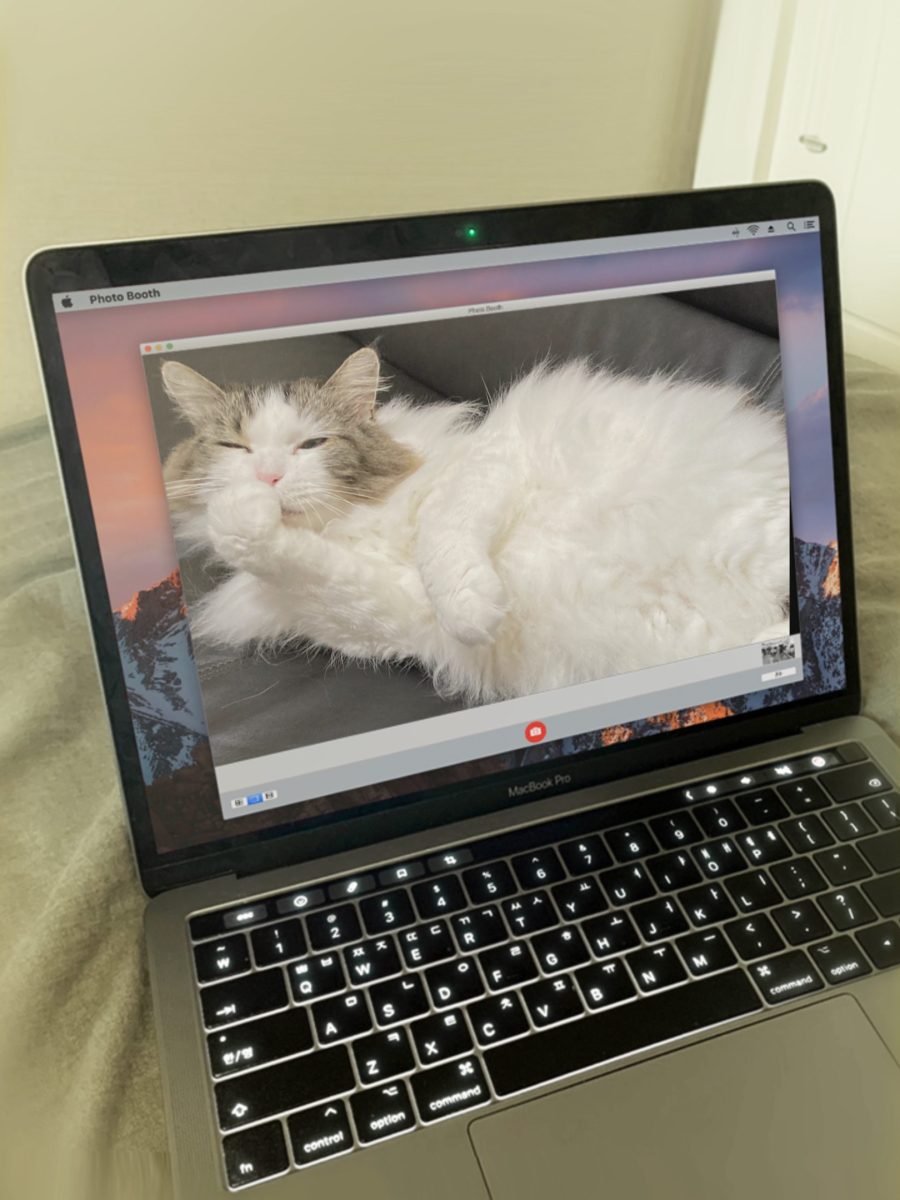 【副業　バイト】収入例　２