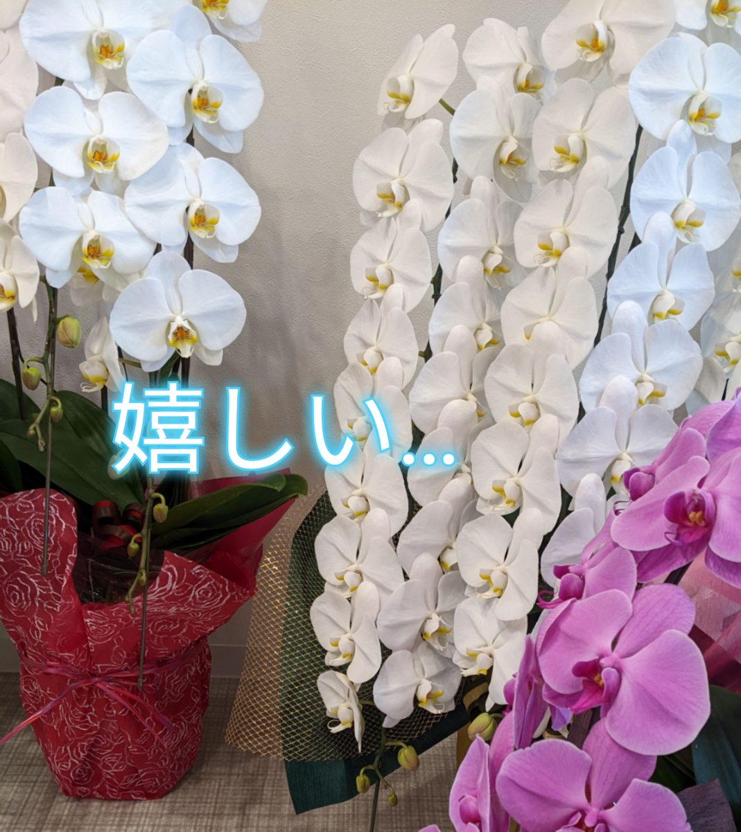 主婦だからこそ…