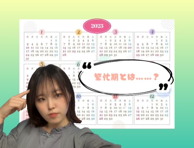 【繁忙期】チャットの波をおさえて、効率よく稼いでいこう💰💰💰