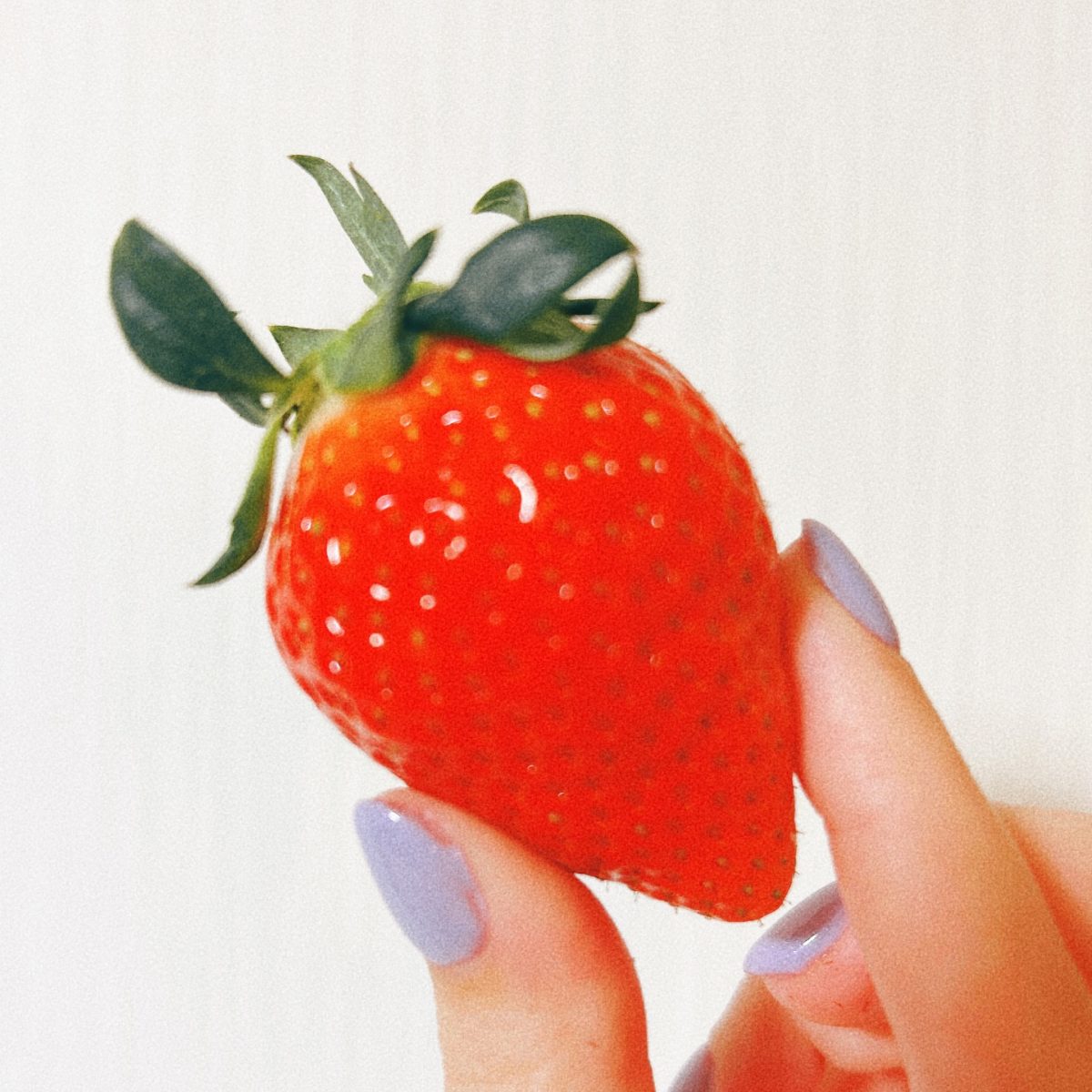 ノンアダルト稼働って？