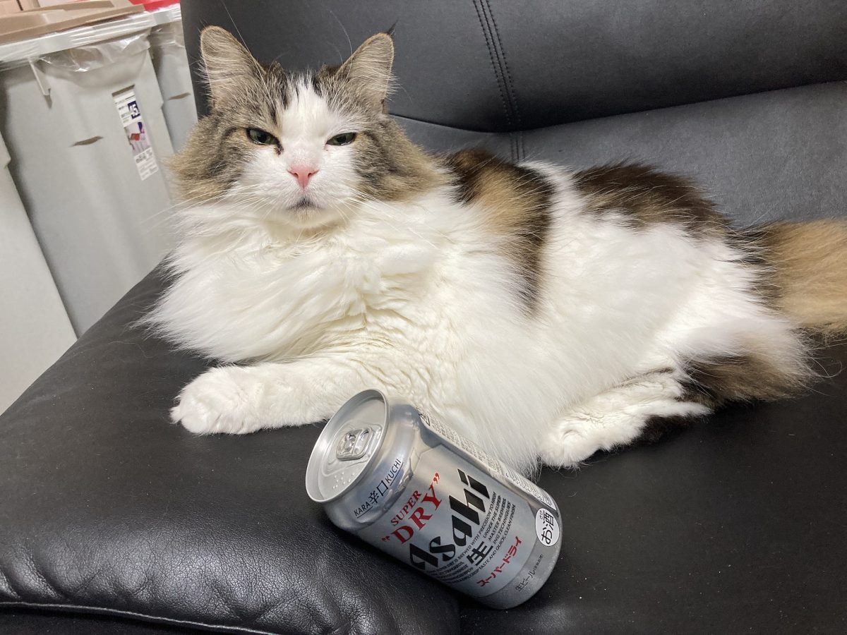 【高収入　バイト】　飲みチャ