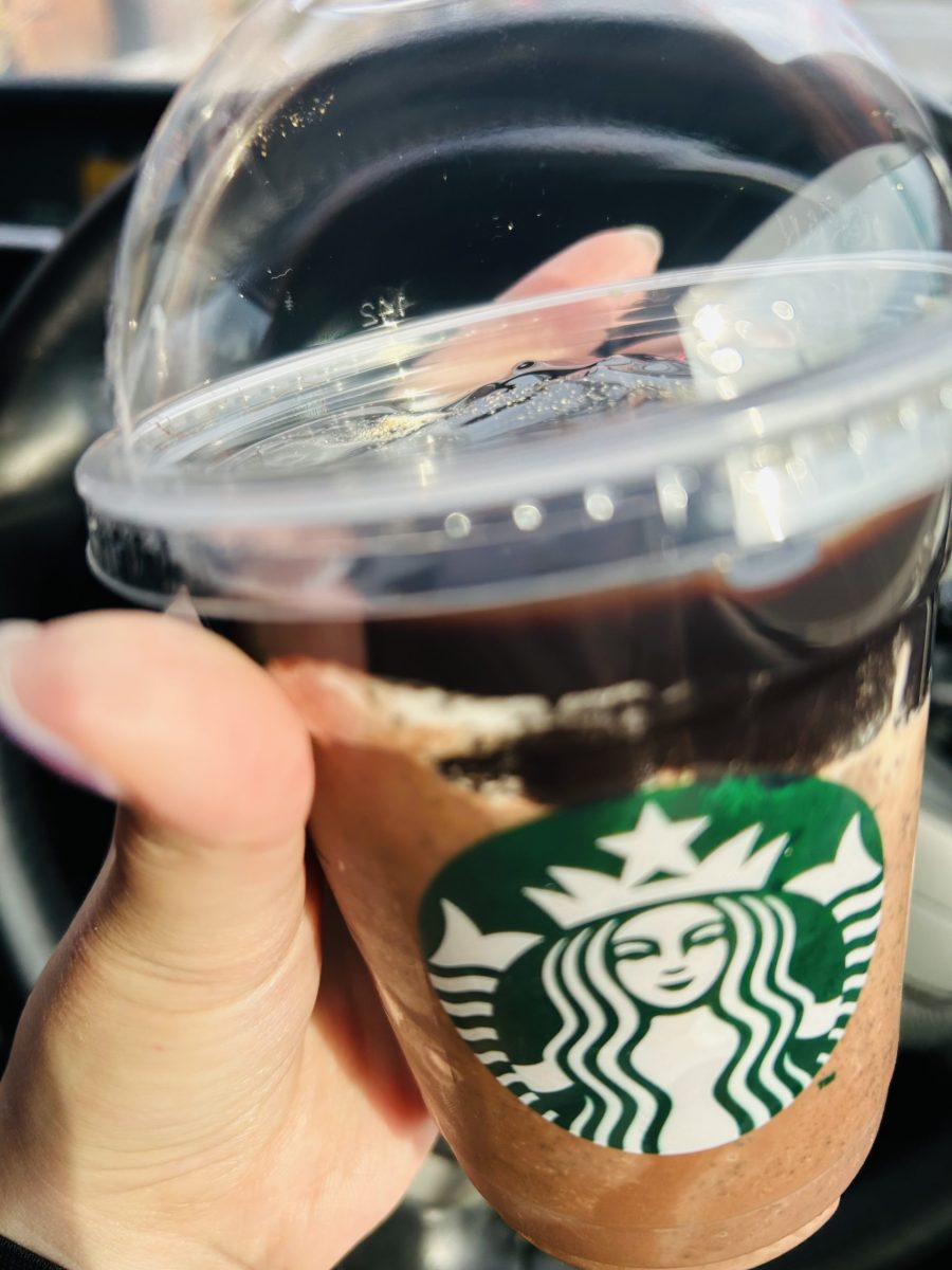 今月のキャンペーン///