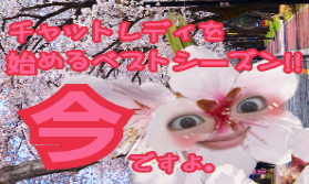 【もうすぐ繁忙期】チャットレディ始めるなら今💮💮