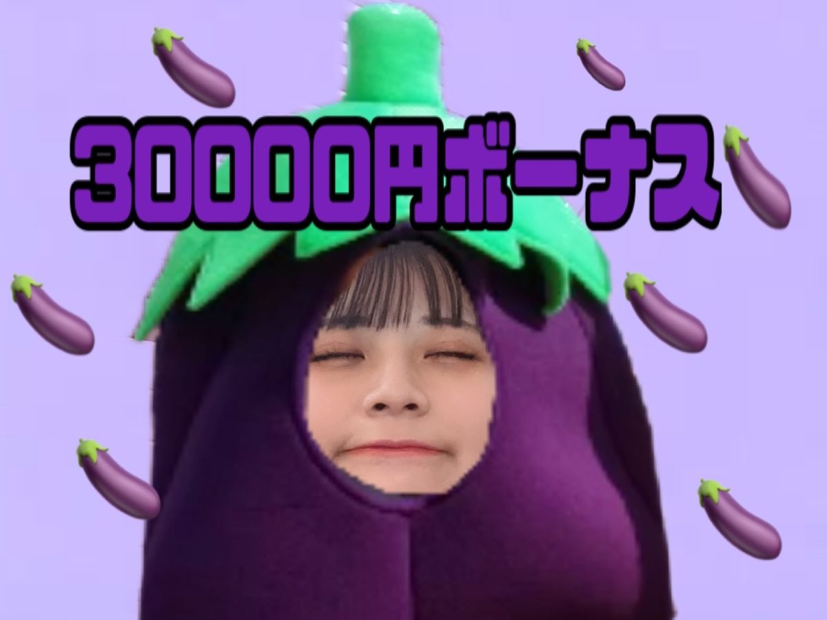 始める人に朗報！！！なんと！！！30000円もらえちゃうボーナスがあるだと、、、(｀･ω･´)