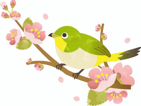 今日は立春です٩( ''ω'' )و