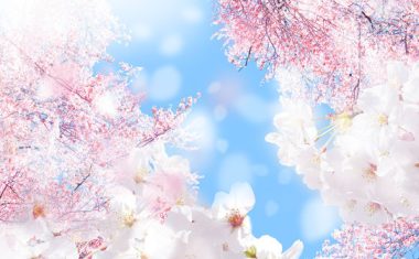 チャットレディーの一般的な報酬とは０２