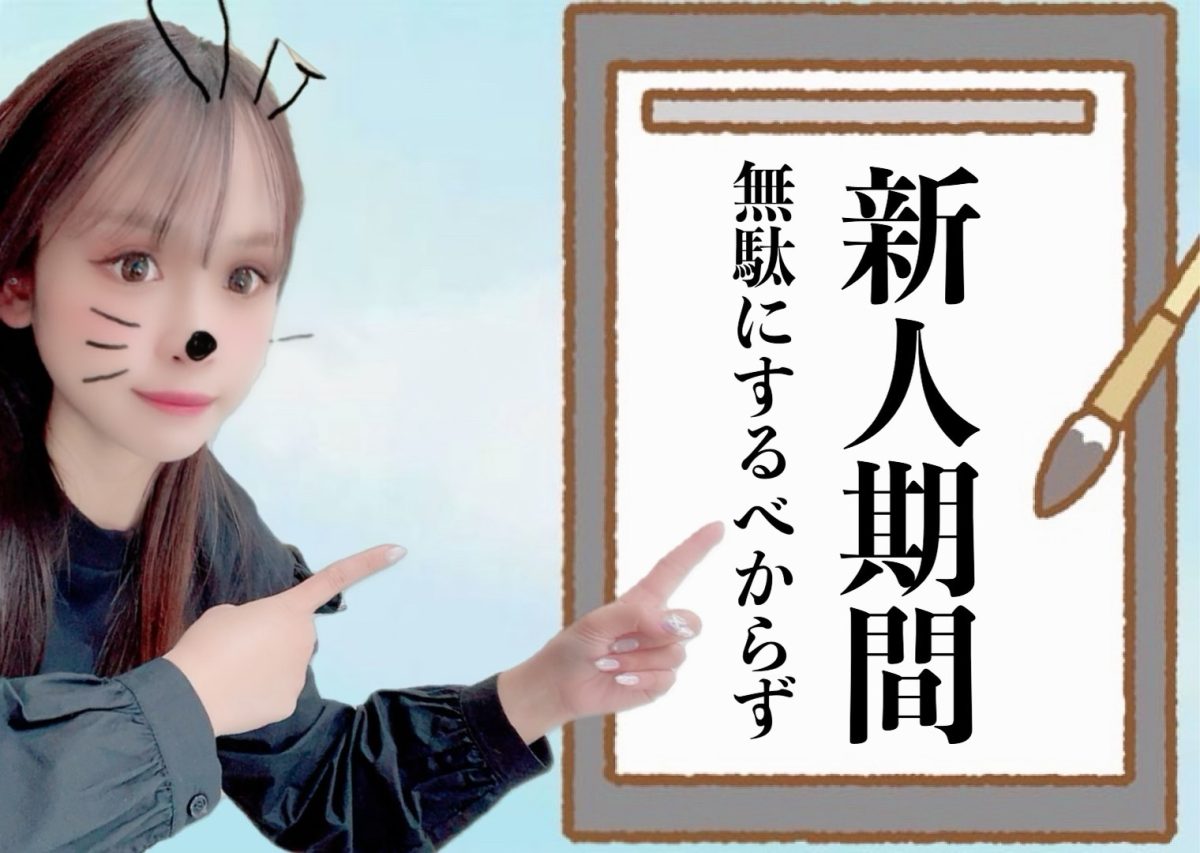 【新人期間が肝！】うまく使ってお稼ぎさんに♪