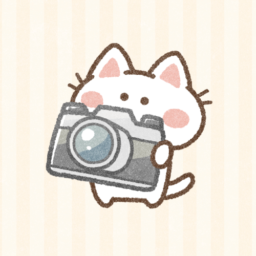 オススメカメラ٩( 'ω' )و