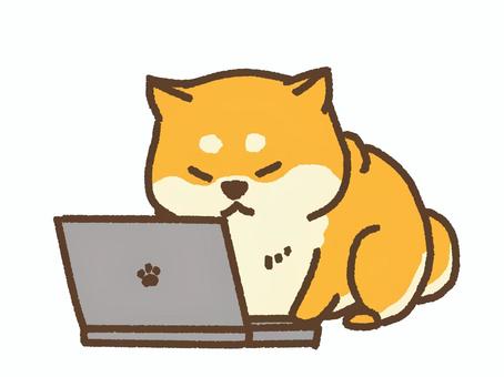 チャットとはなんぞや？(∩´∀｀)∩