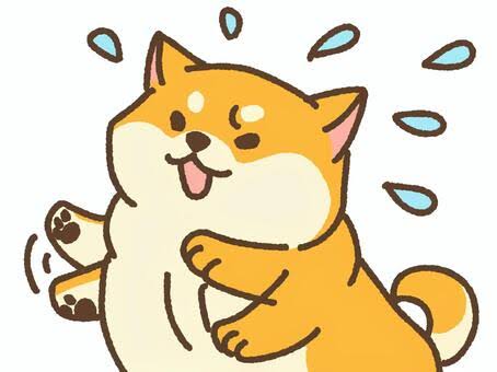 安心サポート(/・ω・)/