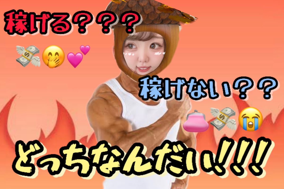 【結局いくら稼げるんだい】問題！！！！！！！【チャット】