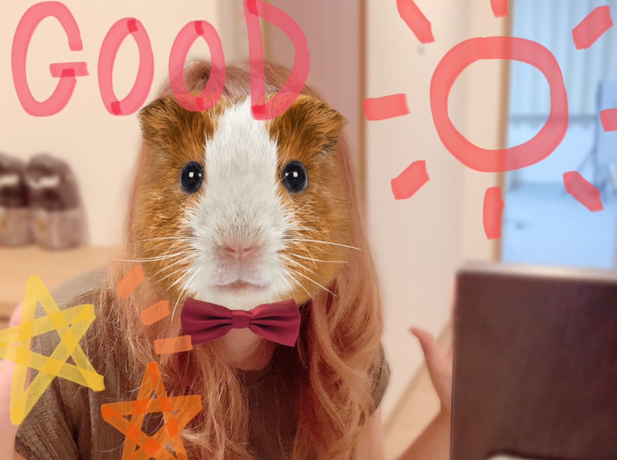 やってみる勇気！楽しくお仕事をしたい方