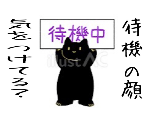 待機の顏もしっかり見られてます(｀･ω･´)【チャット】【リモ活】【千葉】