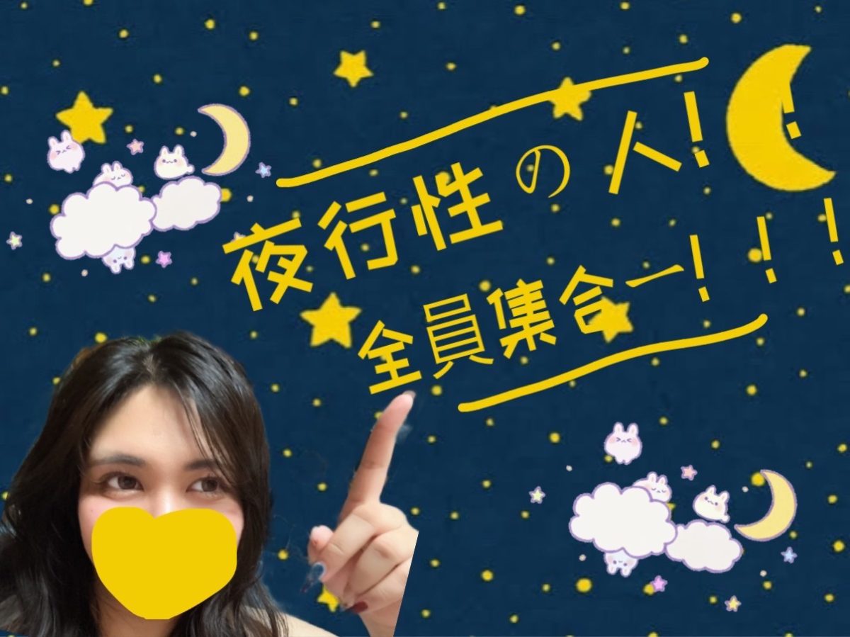 夜行性のみなさま必見！！👀✨