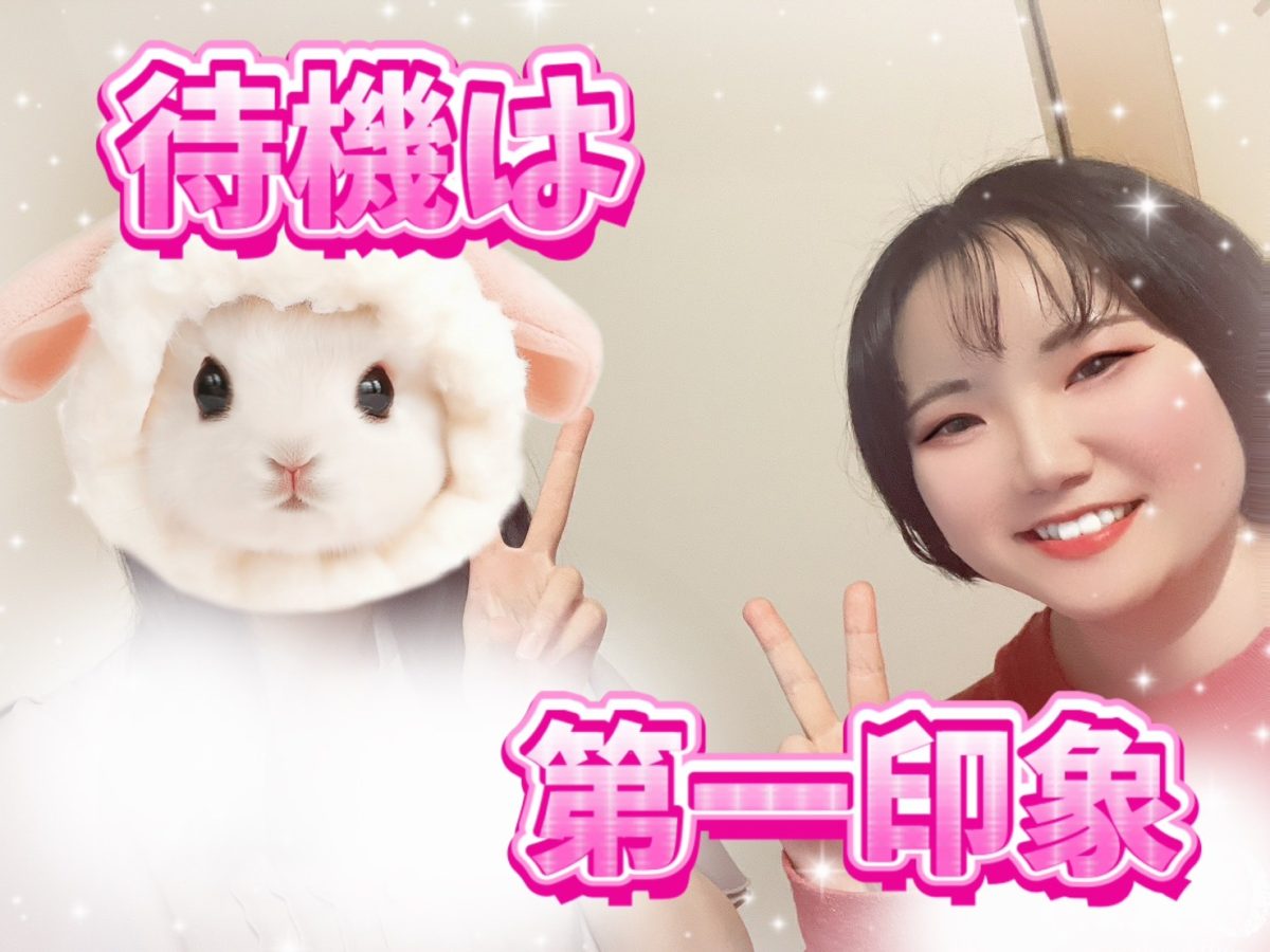 待機は【チャットレディ】の第一印象！！【高収入】