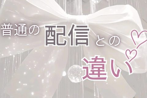 視聴者がいたら確実に稼げます！【チャットレディ】