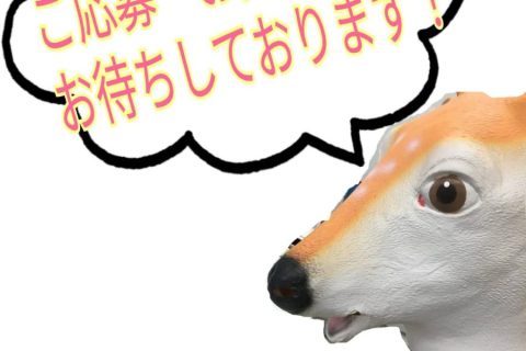【報酬率37%】やってくるくるGW！！【岐阜チャトレ】