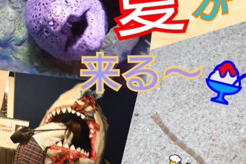 やるなら今がベスト( ,,>ω•́ )۶