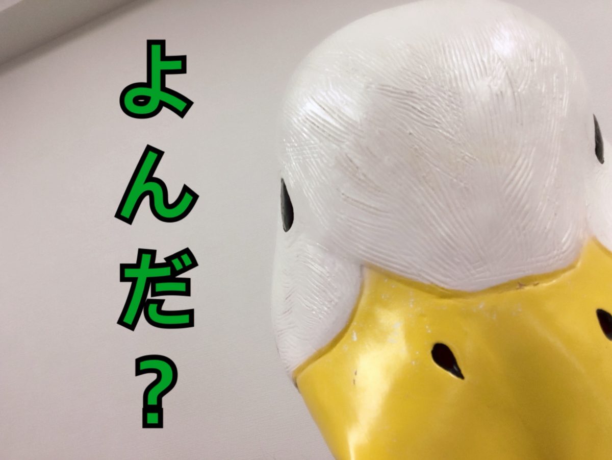 大阪梅田店スタッフ紹介☆ガーコver☆