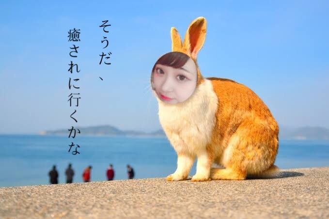 お客さんがどうしてチャットにくるかって・・・？