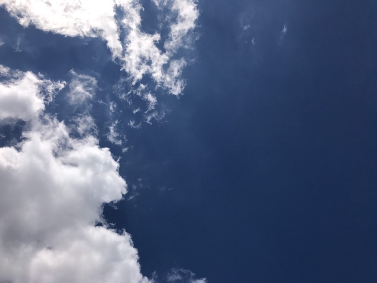 お給料は三種類から選べちゃいます(/・ω・)/