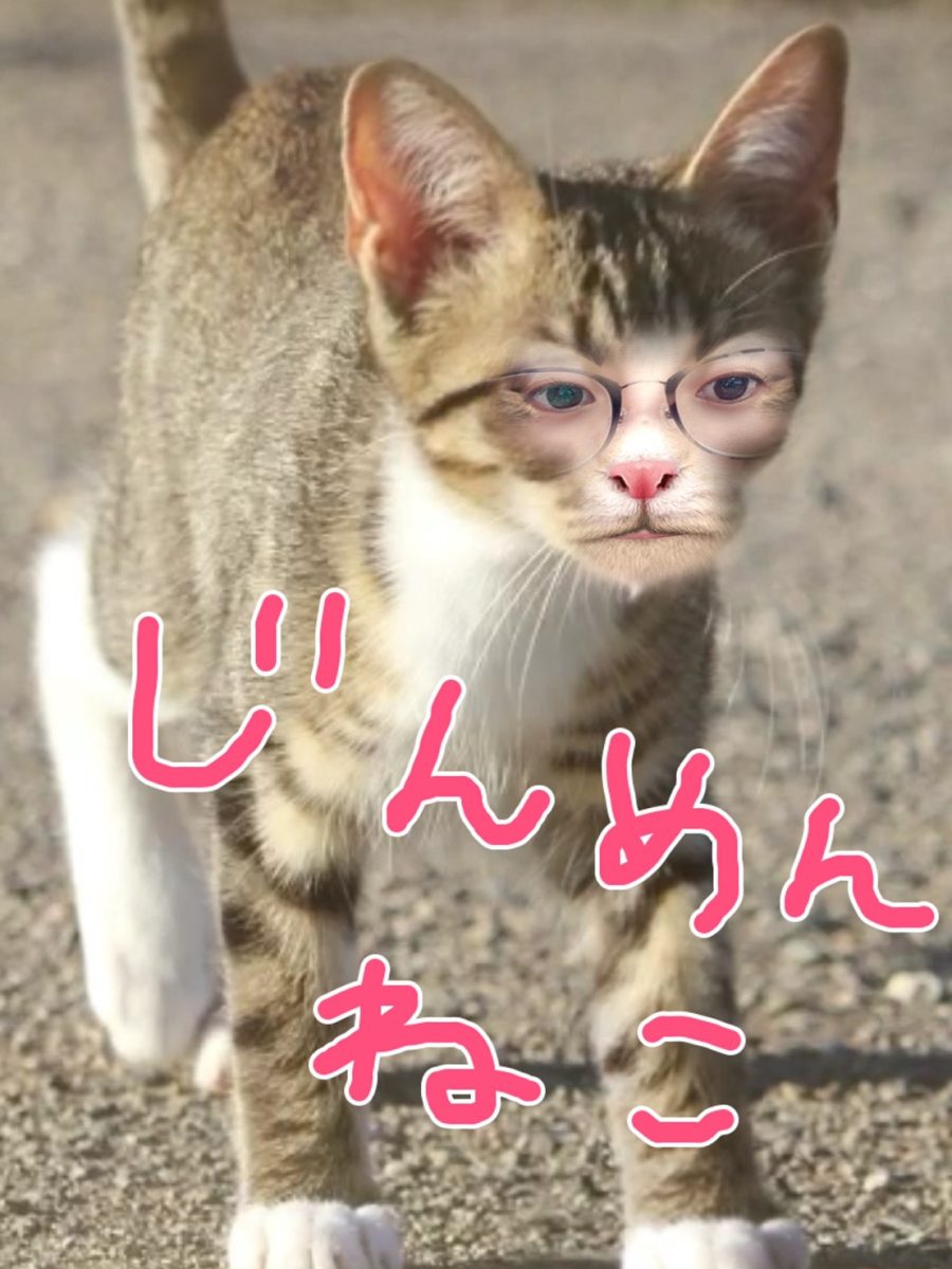面接のご応募増えています！