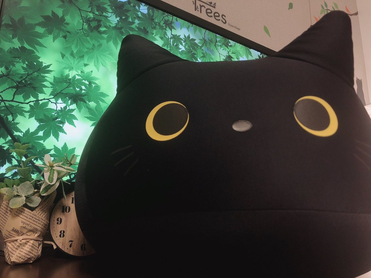 その名はちゃーちる(♀)