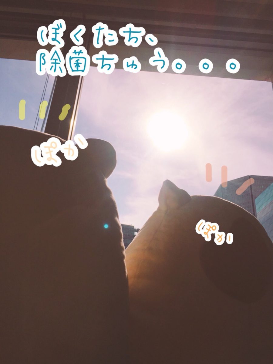 衛生的にキレイって大事！！！