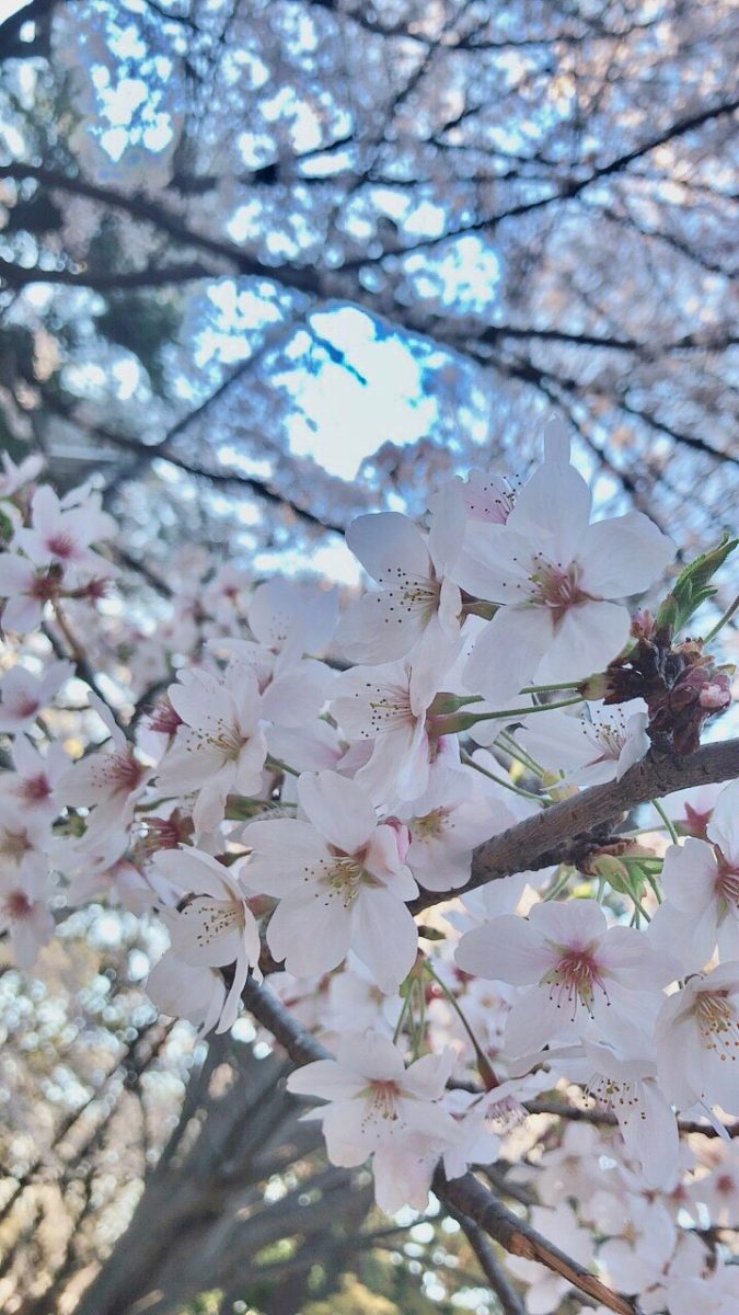 ☆人生ポジティブに☆