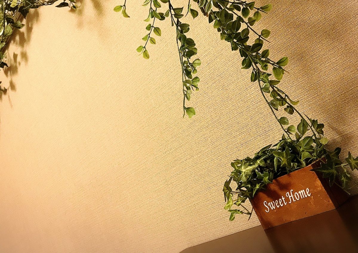 稼ぎ方いろいろ( ﾟДﾟ)